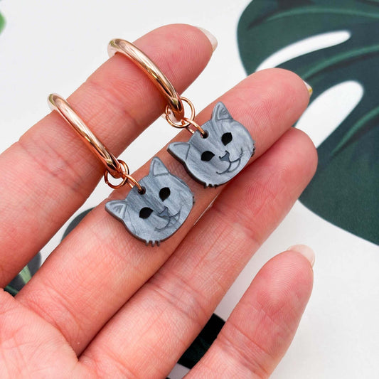 British Blue Shorthair Cat Acrylic Dangle Earrings